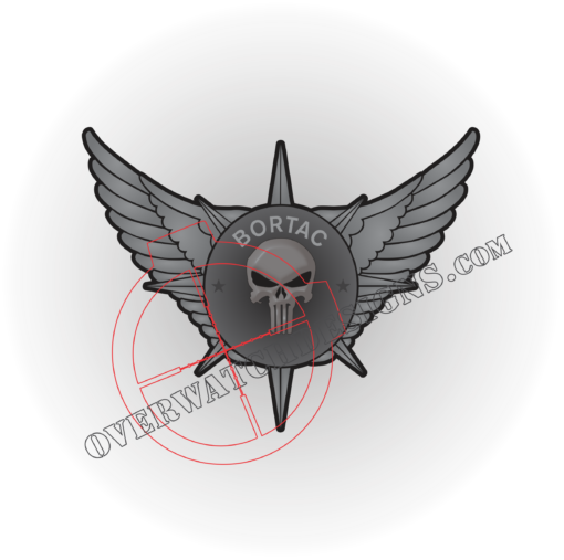 BORTAC Punisher Sticker